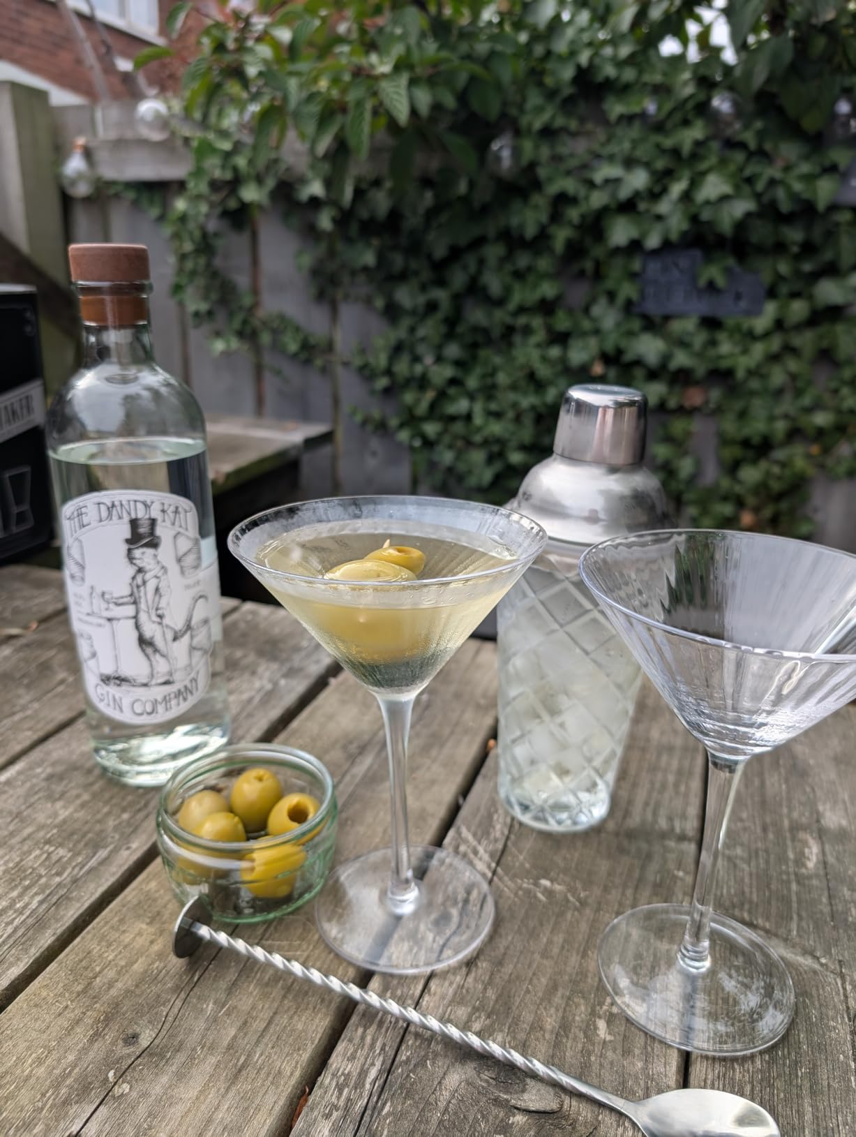 VEMACITY Cocktail Shaker Kits Shaker Vetro 2 Martini Argento