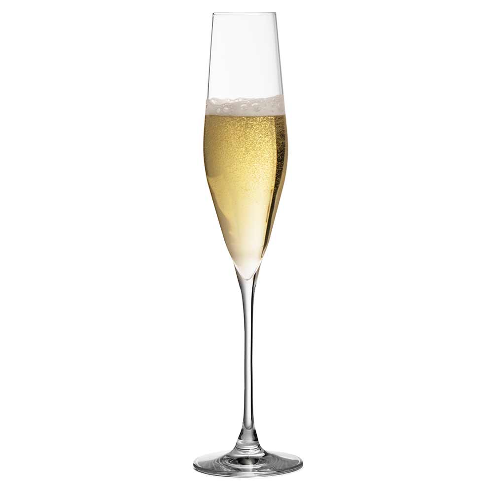 Urban Bar Bacci flute champagne cristallo 19cl