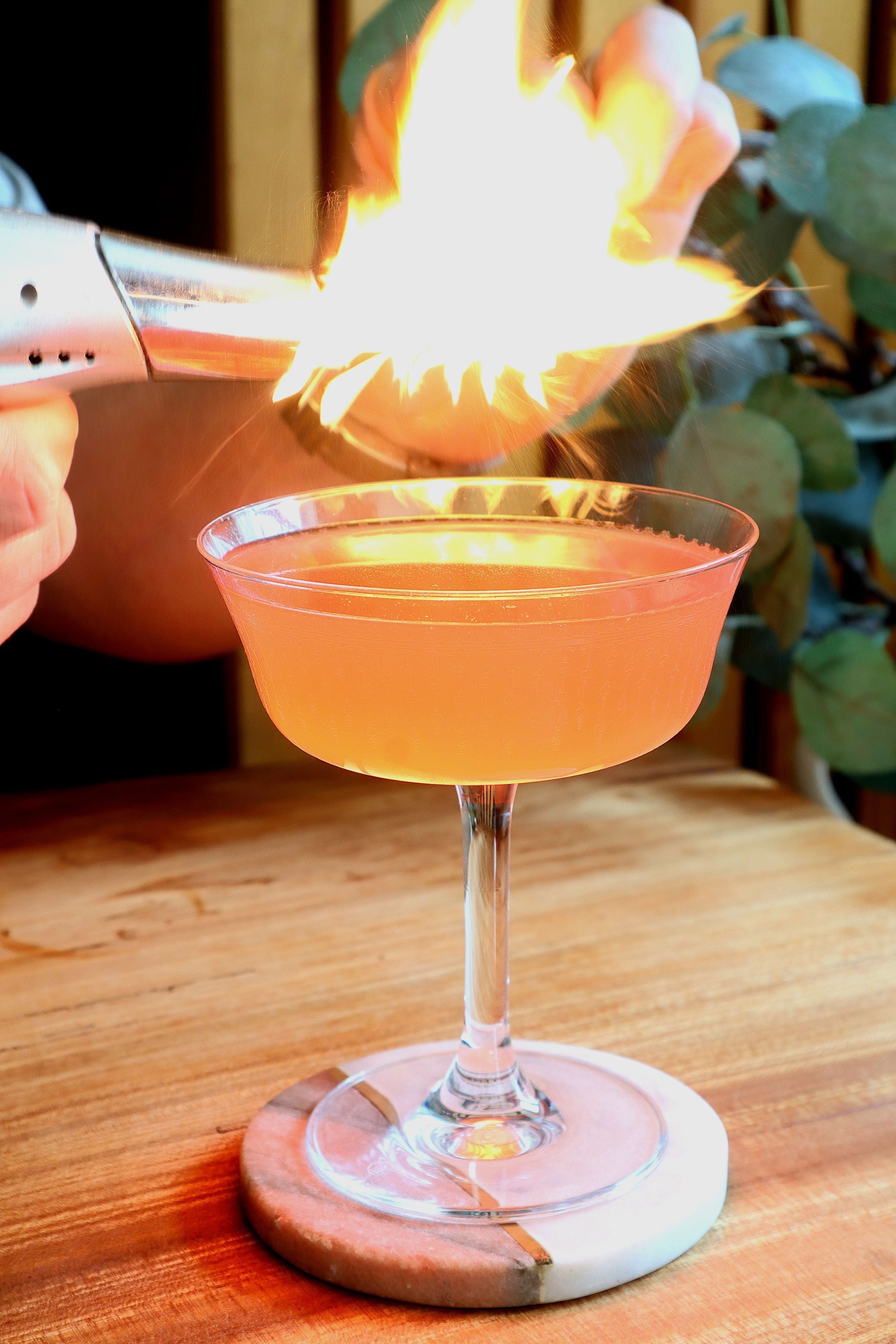 Urban Bar 1920 Fizzio coppa champagne 26cl cristallo